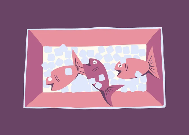 Illustration poissons